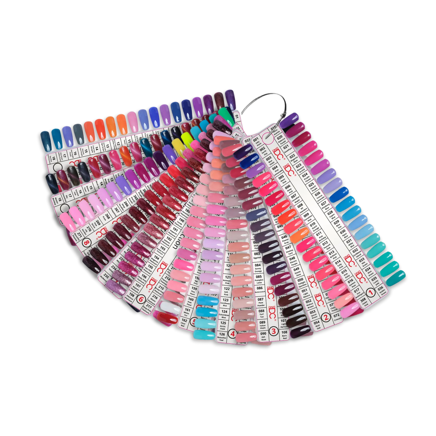 DC Duo Color Swatches Set