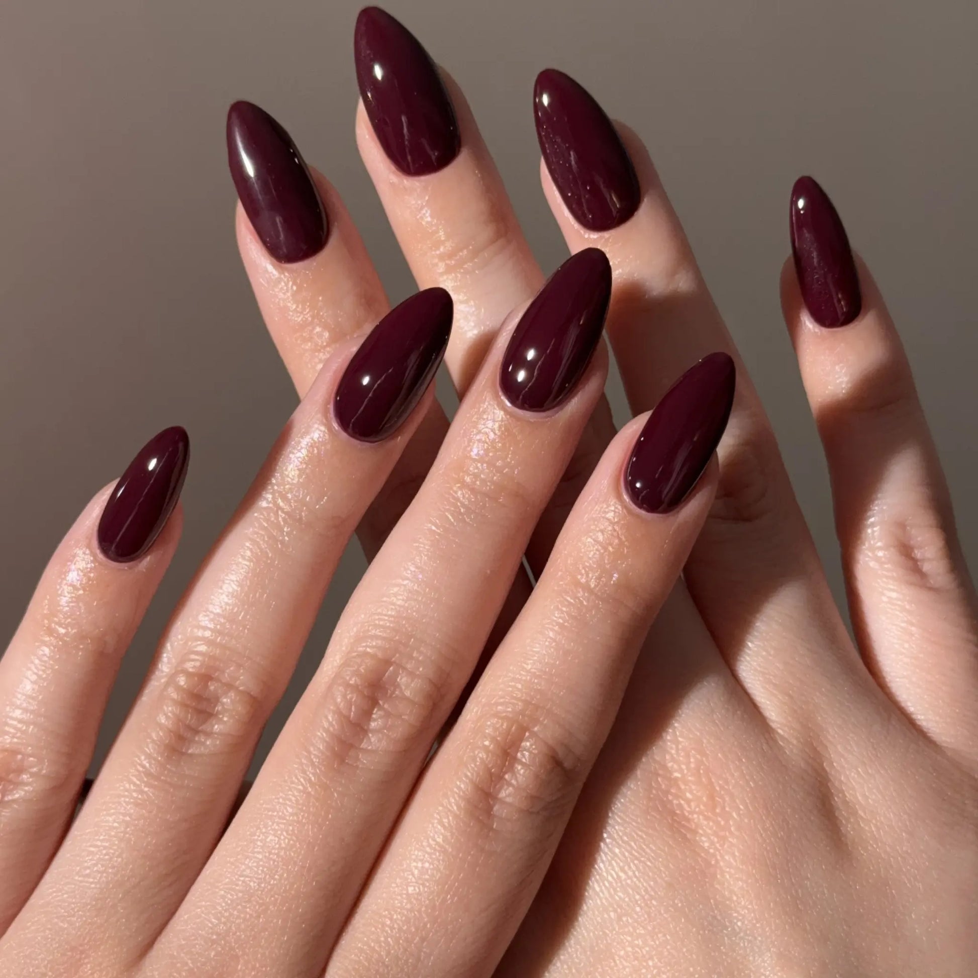 Close-up of hands with dark red nail polish on a neutral background