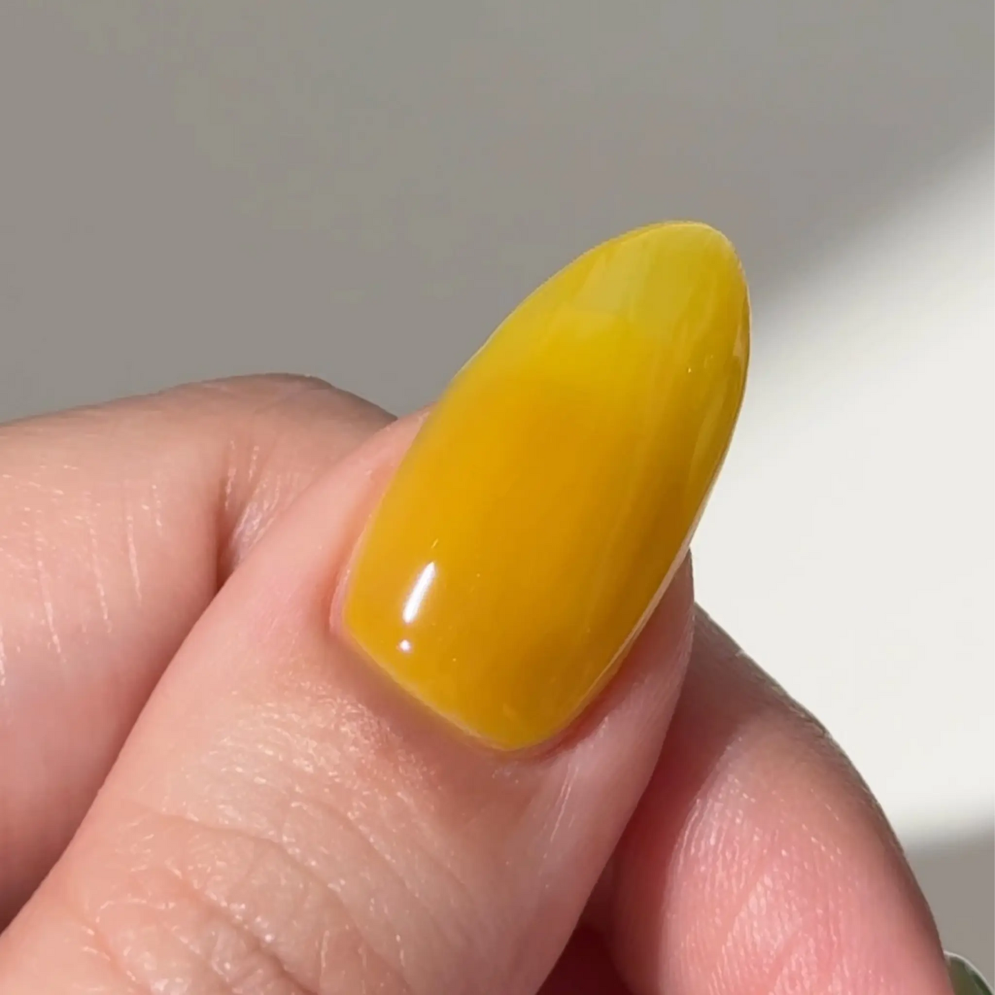 DC Jelly – #003 Yuzu