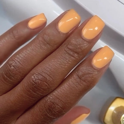 Papaya Pop DIVA #205