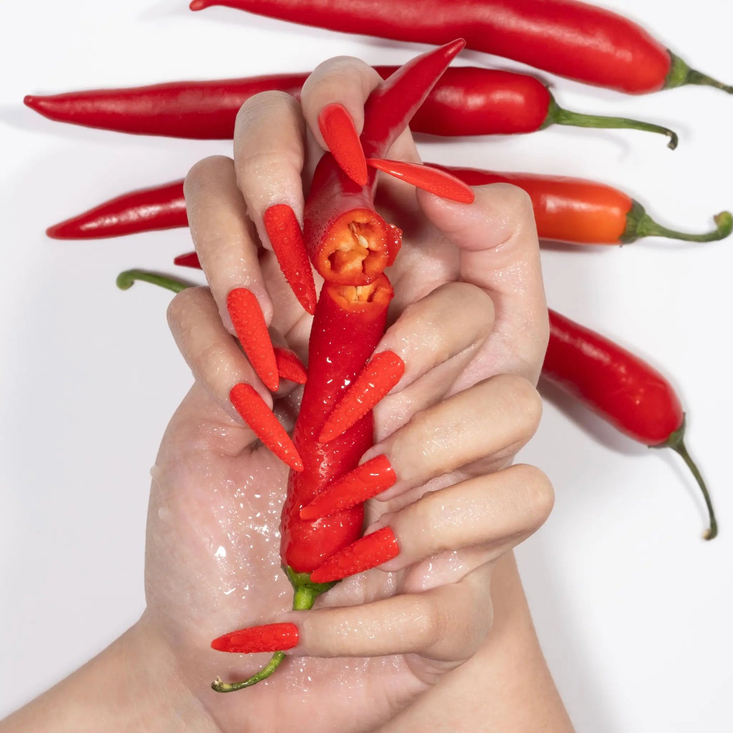 Yes Chef! Collection