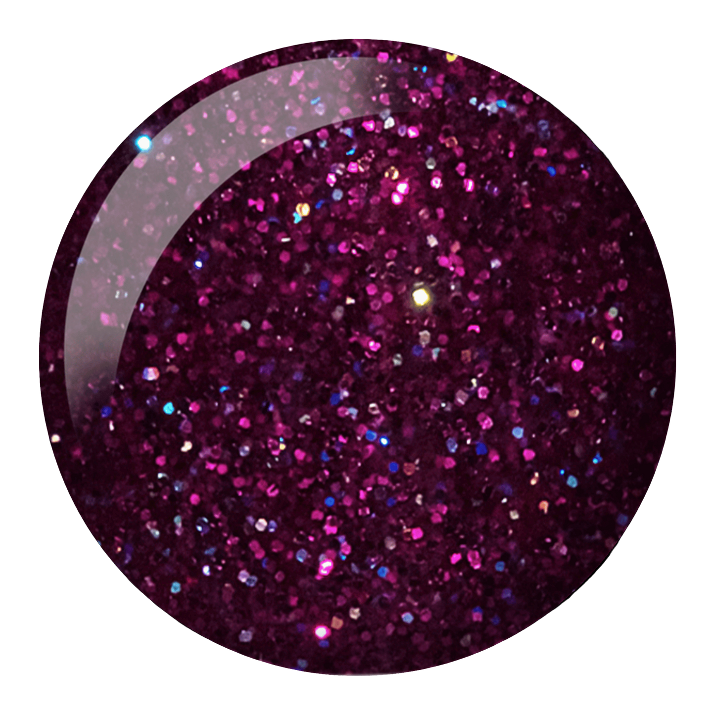 Butterfly World #564