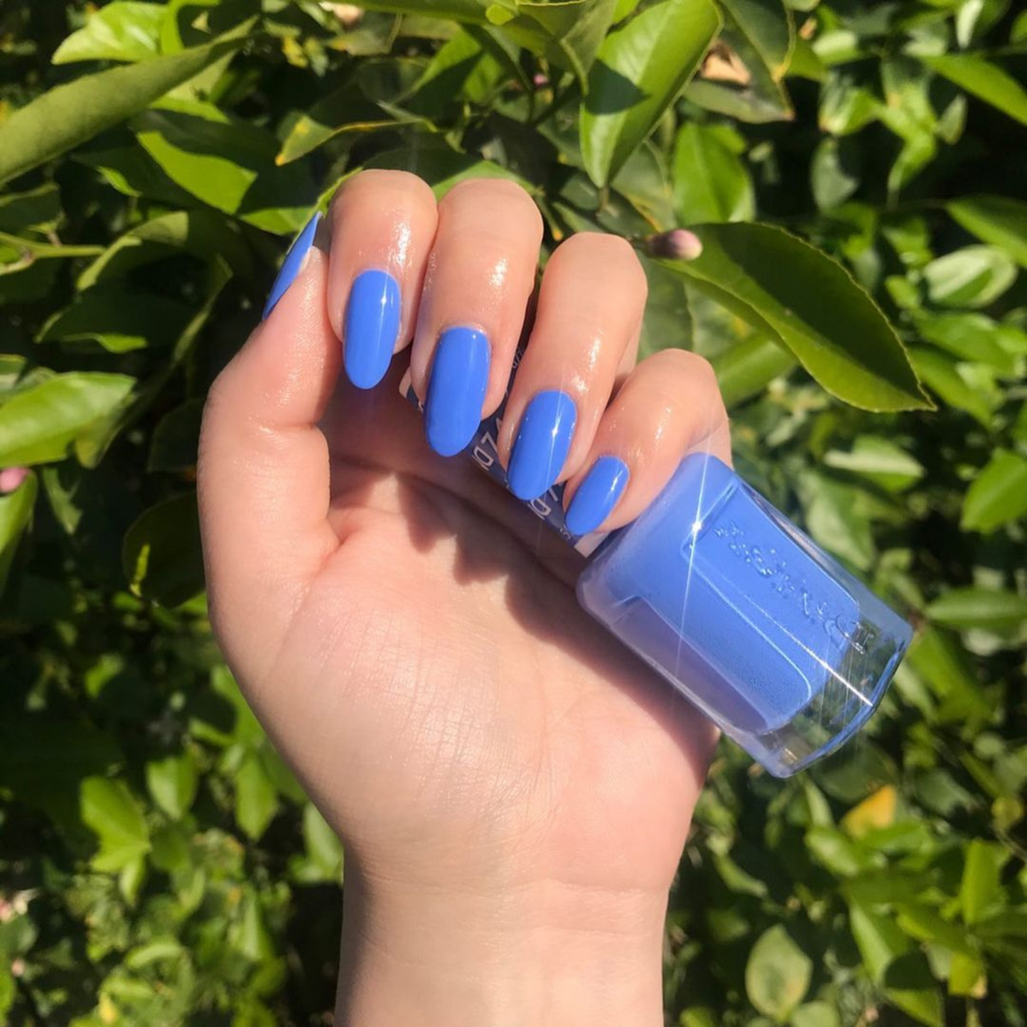 high shine and glossy manicure with unique saturated periwinkle violet blue shade