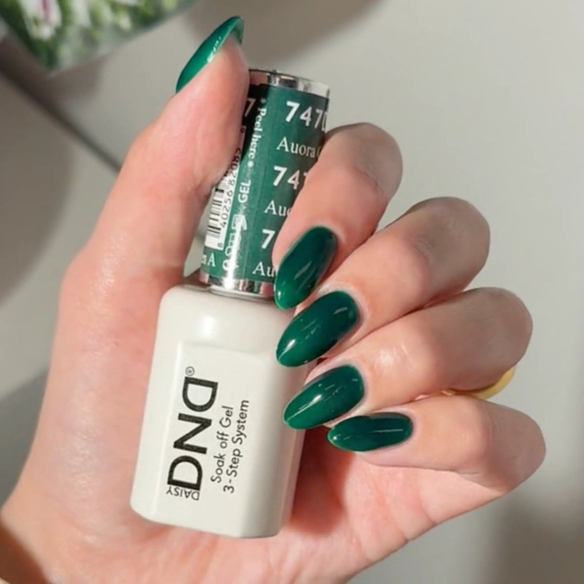 Aurora Green #747