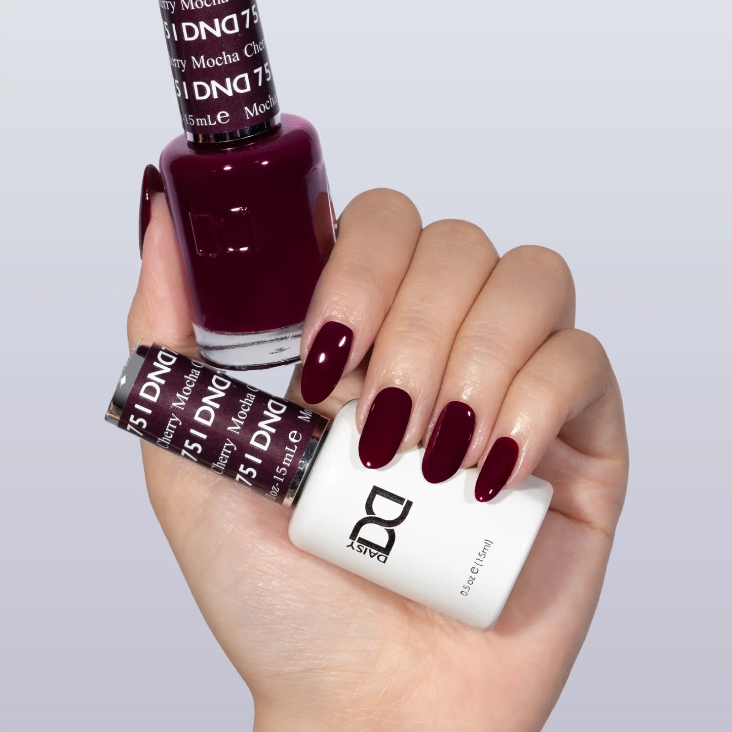 Hand with popular Cherry Mocha dark red maroon nail polish holding duo bottles of DND nail polish.