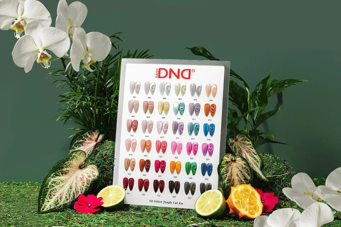 DND 9D Cat Eye Velvet Jungle Collection — 36 Set