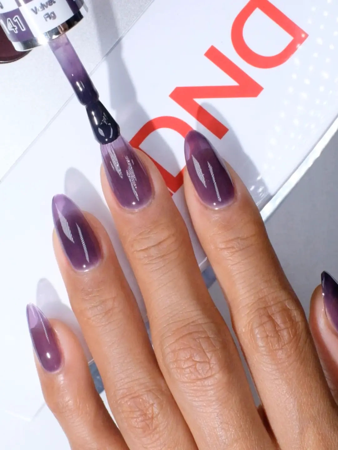 Velvet Fig #141 HEMA & TPO-free